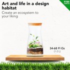 Diy Terrarium Kit For Plants     Build A Self   sustaining Closed Ecosystem     