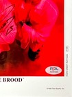 Wwe Gangrel The Brood P-528 Signed Original 8x10 Promo Photo With Psa Coa 1999