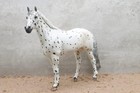 Traditional Breyer Idocus Custom