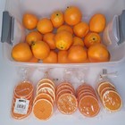Ashland Artificial Oranges And Slices Faux Fruit Home Decor Party Props
