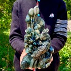 5 7lb Naturalblueflashlabradoriteparrothand Carved Crystalanimal Reikicollectib