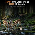 Wildlife Trail Camera 16mp 1080p Hd  Night Vision Waterproof Hunting Camera 32gb