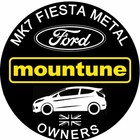 Ford Fiesta  metal Edition  Owners Uk Car Windscreen Internal Glass Decal