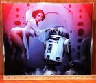 Princess Leia s Little Secret 13x15 85lb Gloss Art Print Set By Bioart 