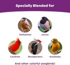 Kaytee Nut   Fruit Blend 5 Lb     Premium Wild Bird Food Mix For Songbirds
