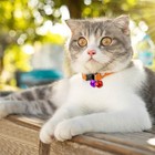 50 Pieces Jingle Bells For Craft Christmas Bells For Crafts Diy Craft Bells M   