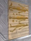 Rare Vintage Acupuncture Poster Medical Human Anatomy