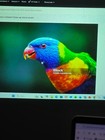          Nec Np-p451w Lcd Projector 4500 Lumens 3lcd Hd - 808 Lamp Hours