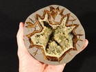 Big  Polished Museum Crystal Filled Hollow Septarian Geode  From Utah 1041gr