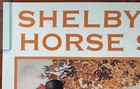 1997 Original Shelbyville Tn Horse Show Poster Shelby County Tennessee 20x28