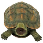 Design Toscano Sprinke The Turtle Piped Spitter Statue Qm75110551