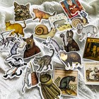 50pcs Medieval Ugly Cat Stickers     Vintage Gothic Manuscript Funny 
