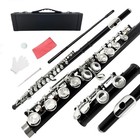 Beginner Closed Hole C Flute With 16 Keys  Cleaning Kit   Case - Blue Nickel Fin