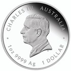 2026 Australian Lunar Year Of The Horse 1 Oz  Proof Silver  Coin
