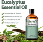 Pure Eucalyptus Essential Oil  100  Pure Therapeutic Grade Premium Oil For Hair