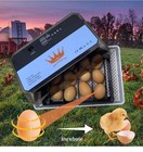 Egg Incubator Automatic Chicken Quail Chick Hatcher Incubators For Hatching Eggs