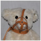 Steiff German Muzzle Bear 1908 Replica New With Box No Lid 