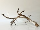Manzanita Driftwood  Reptile Tank Decor   Aquascape  Terrarium  Aquarium Wood