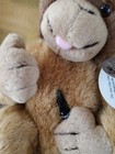 International Coca Cola Collection Animal Monkey Plush Beanie Babies  0247 Orany