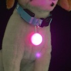 Led Dog Cat Collar Light Night Safety Pendant Waterproof Pet Luminous Glow Tag