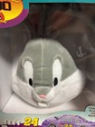 Jeff Gordon Action 2001 Dupont Looney Tunes Reversible Plush