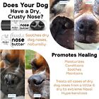 The Blissful Dog Nose Butter Moisturizes Rough  Crusty  Extremely Dry Dog Noses