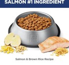 Hill s Science Diet Adult Perfect Digestion Salmon Dry Dog Food  22-lb Bag