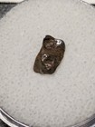 Canyon Diablo Iron Meteorite Specimen With Case And Id Card 0 32 Grams