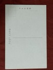 Nude Japanese Vintage Postcard