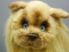 Vintage Stuffed Plush Fluffy Long Hair Persian Cat  applause Avanti  No Tags