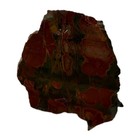 Cherry Creek Jasper Slab   36 Grams   Rough Agate Mineral Rock Red Yellow