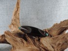 Authetic Energy Old Tibetan Agate Dzi Bead Amulet For Pendant Gzi Bead C