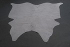 100  New Cowhide Rugs Area Cow Skin Leather  51  X 50   Cow Hide Sa-6222