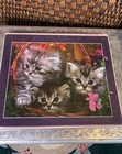 Vintage 80   s Trapper Keeper With Kittens