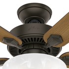 Hunter Fan 44 Inch Traditional New Bronze Ceiling Fan With Light And Pull Chain