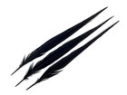 50 Feathers 18-22  Black Long Ringneck Pheasant Tail Wholesale Halloween Costume