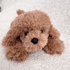 Fao Schwarz Lying Goldendoodle Plush Puppy Dog Stuffed Animal 10    2024