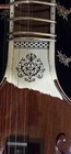 New Playable Artistic Pakistan   Lahor Musical Full Tun Wooden Sitar
