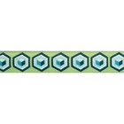 Tula Pink - Hexagon In Green And Blue  7 8  Ribbon By Renaissance Ribbons