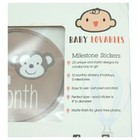 25pc Baby Lovables Monthly Milestone Stickers  With Holidays Monkey Design New