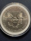 2013 P Mint Walking Liberty Silver Eagle