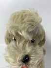 Vtg 50   s Gray Steiff Poodle Snobby Dog Mohair Jointed 9  Tagged Ear Red Collar