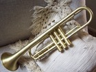  54 Olds Ambassador Trumpet - Recent Overhaul  New Lacquer   Case      Nice 