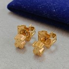 Tous Mini Bear Earrings Gold Tone Stainless Steel 6mm Usa Import Unused