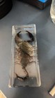 Real Rainforest Scorpion Resin Specimen 110x43mm Paperweight   Educational Decor