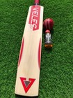 English Willow Cricket Bat Grade 1st Full Size Cricket Bat bat Oil 