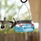 Wild Wings Glass Mason Jar Hummingbird Feeder 6 Oz  Teal