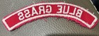 Unlisted Blue Grass Red And White Boy Scout Council Half Strip