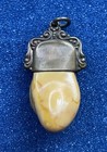 Vintage Antique Fraternal Bpoe Double Elk Tooth Pendant Fob Charm