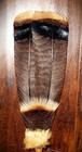 Turkey Native American Smudge Feather Fan 16  Antler